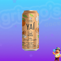 CHÁ VERDE YAÍ LARANJA E GENGIBRE 290ml