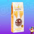 CHOCOLATE HARRY POTTER POMBO DE OURO 46g