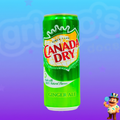 REFRIGERANTE CANADÁ DRY 355ml