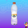 ÁGUA MINERAL LINDOYA COM GÁS 510ml